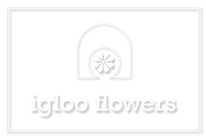 iglooflowers.com